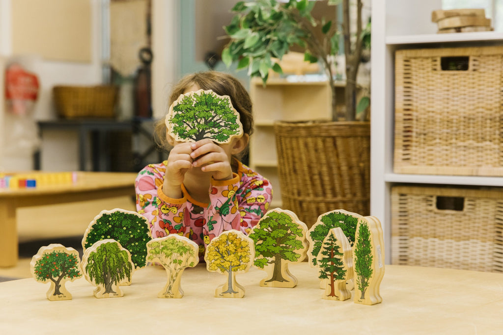 Australian Wooden Trees