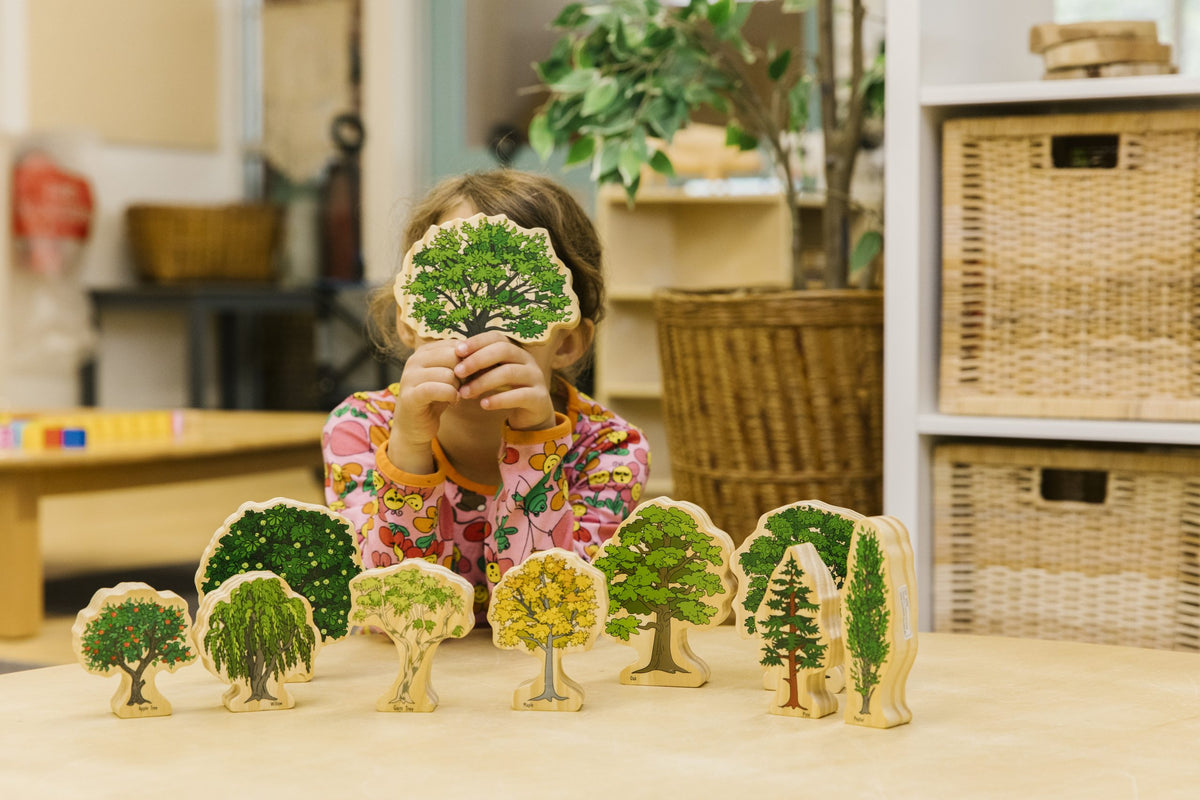 Australian Wooden Trees
