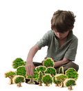 Australian Wooden Trees