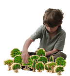 Australian Wooden Trees