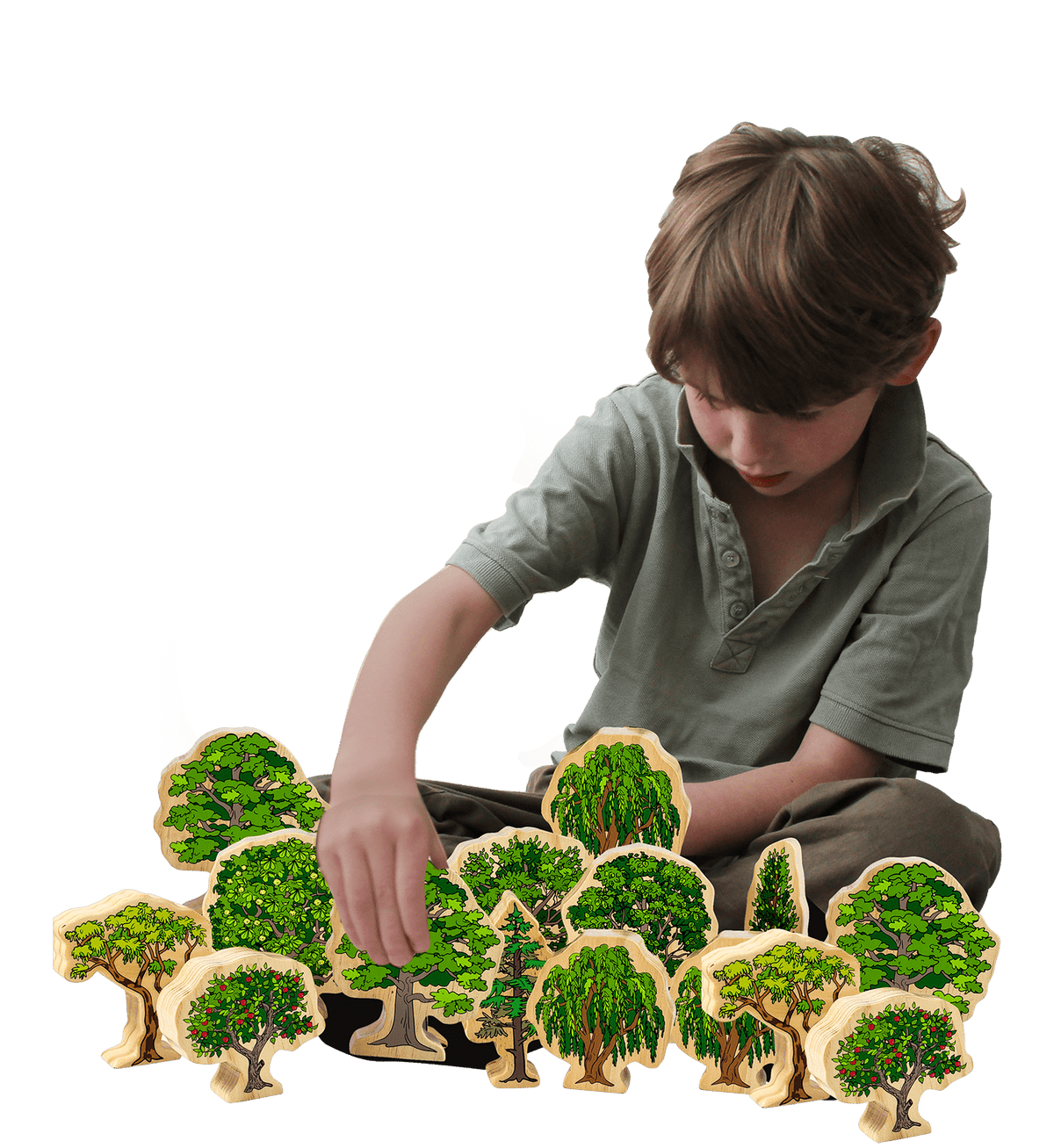 Australian Wooden Trees