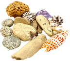 Beachcomber set - 14 Pc