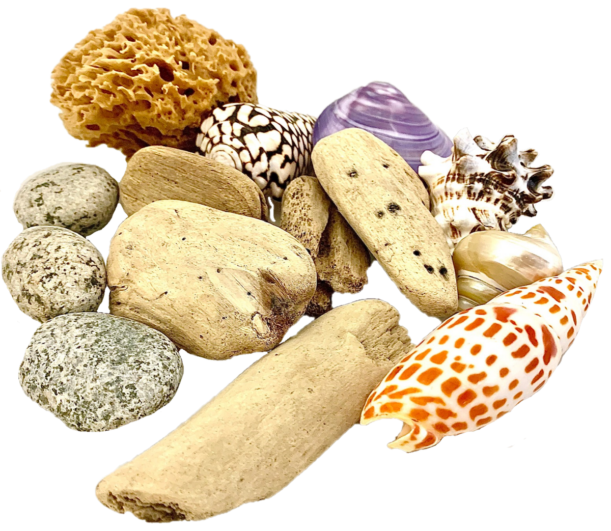 Beachcomber set - 14 Pc