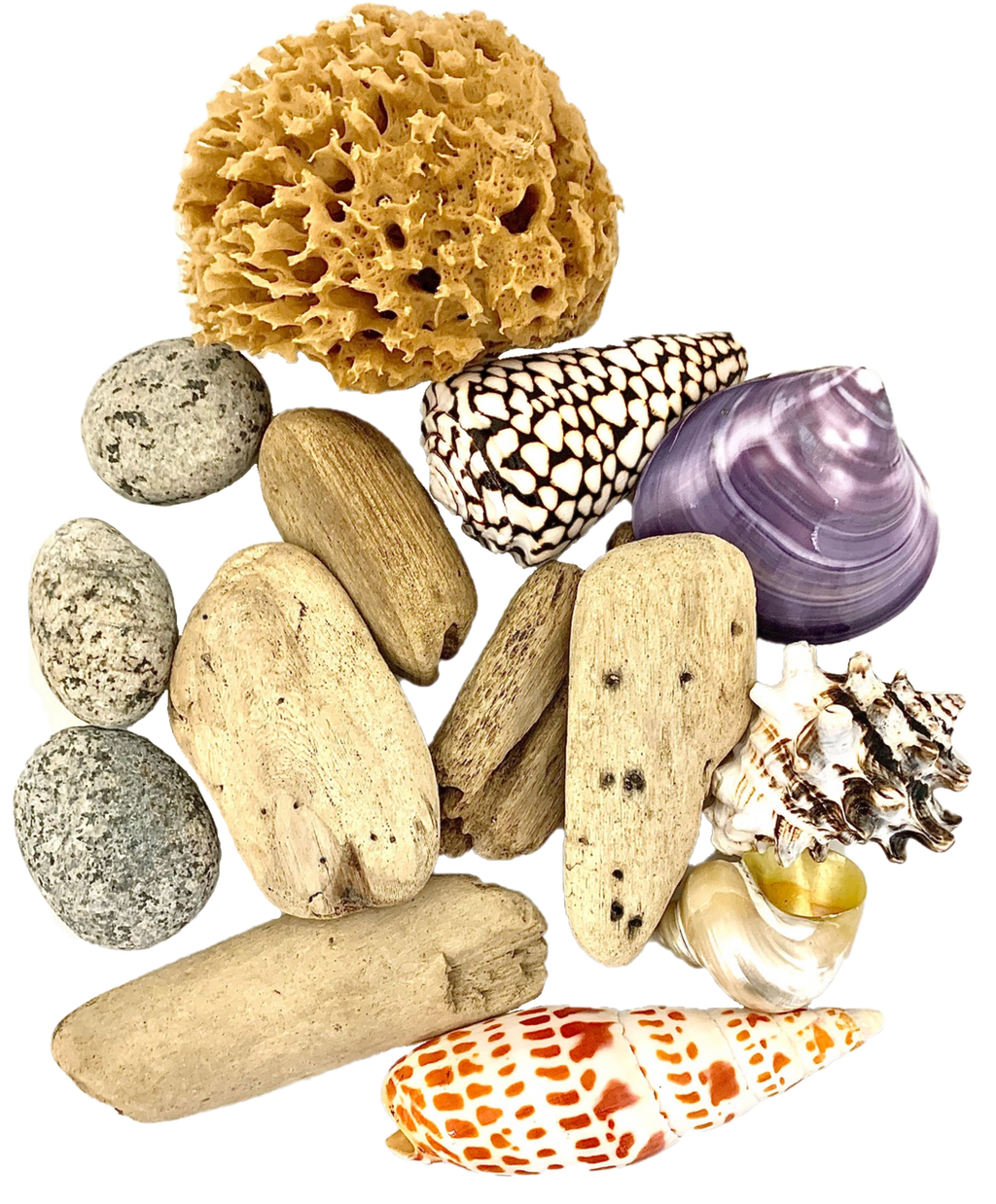 Beachcomber set - 14 Pc
