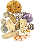 Beachcomber set - 14 Pc