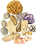 Beachcomber set - 14 Pc