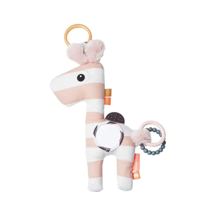 Raffi Giraffe Activity Toy