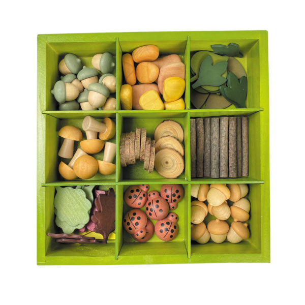 Nature's Sorting Box Set of 71