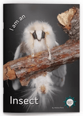 I am an Insect Big Book