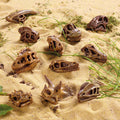 Replica Dinosaur Skulls Pack of 11